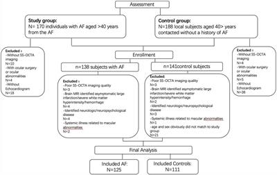 Characterization of retinal microvasculature and structure in atrial fibrillation